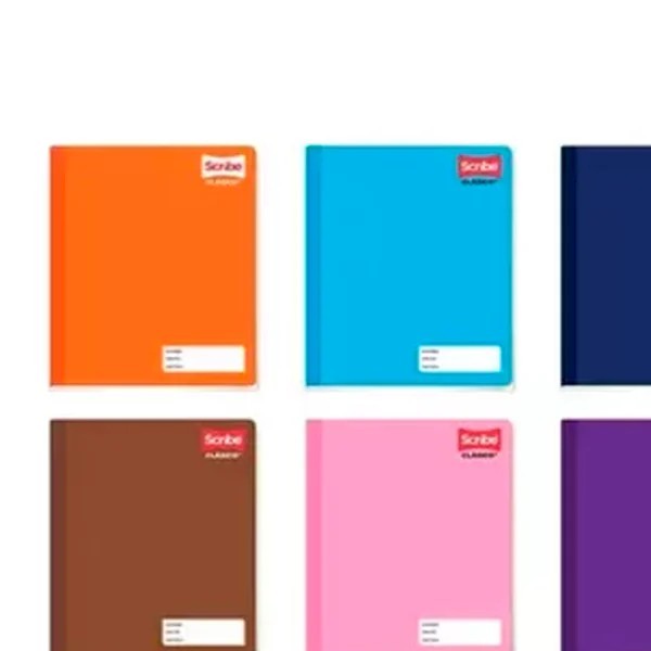 CUADERNO PROF. CLASICO SCRIBE 4500 RAYA COS. 100H. C.24